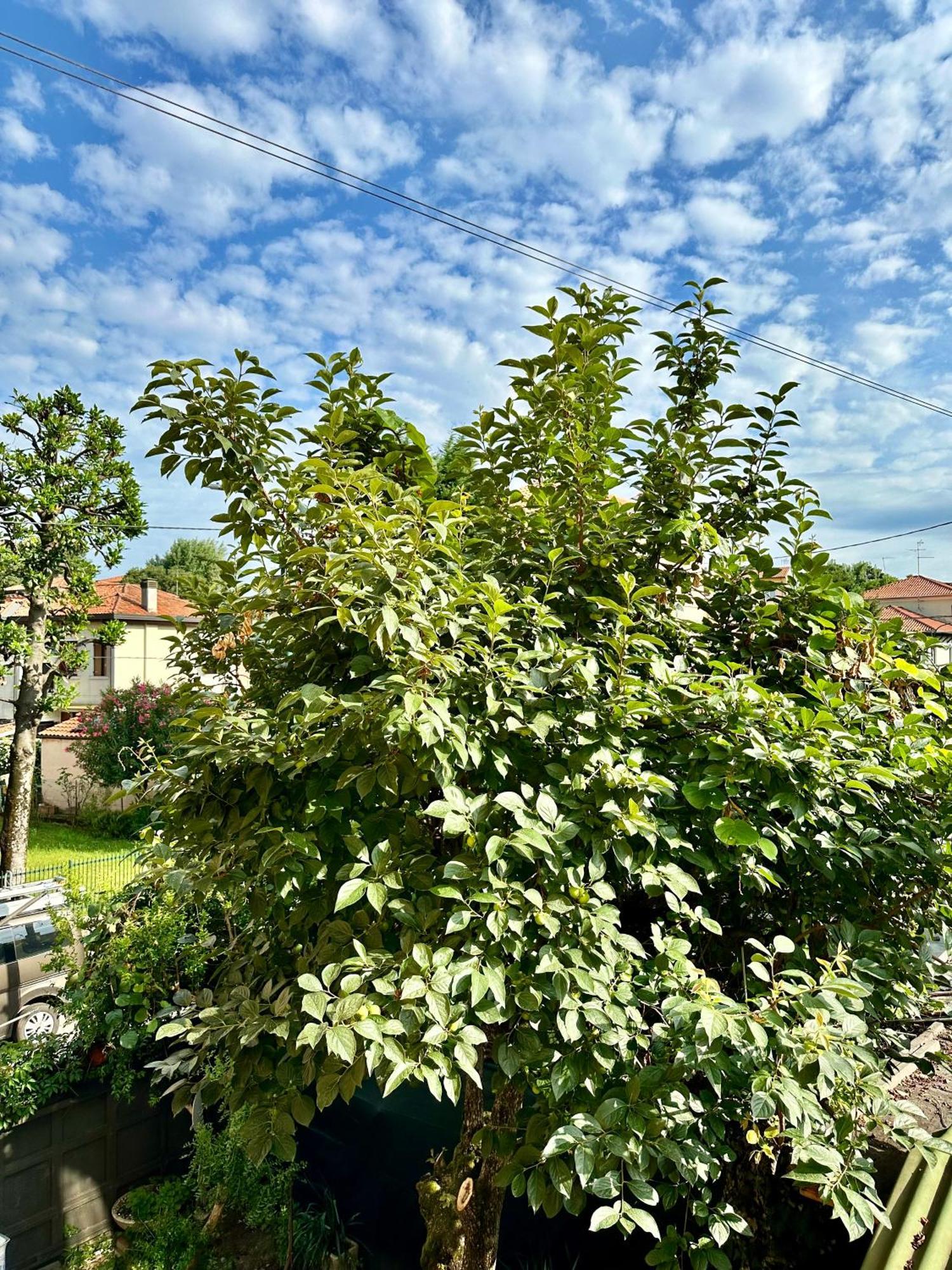 Appartamento Casa Clara Marghera Esterno foto